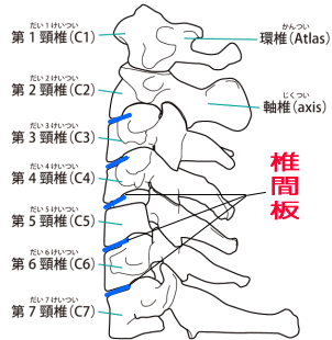 首画像